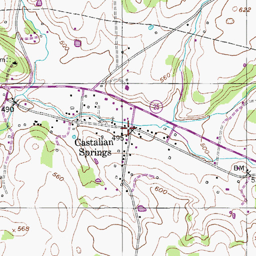 Topographic Map of Castalian Springs, TN
