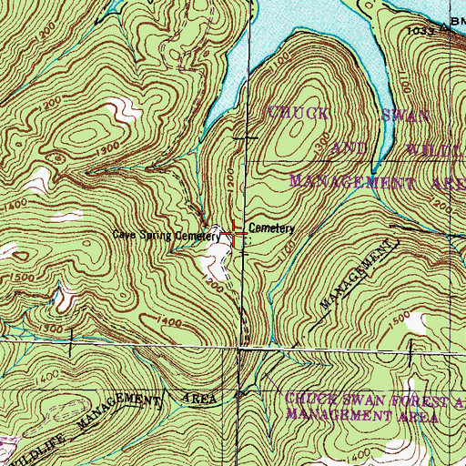 Topographic Map of Cave Spring Cemetery, TN
