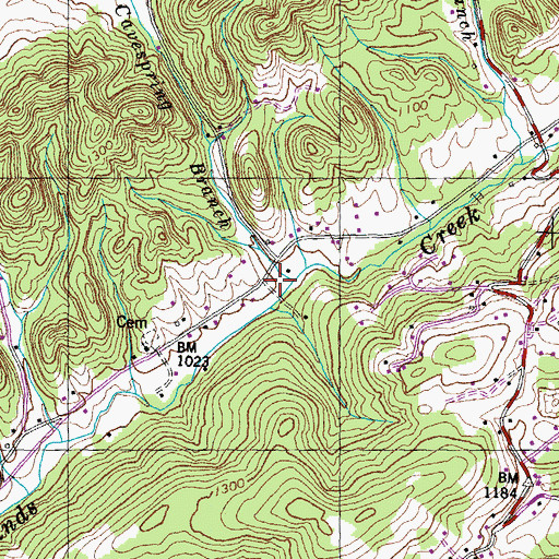 Topographic Map of Cavespring Branch, TN