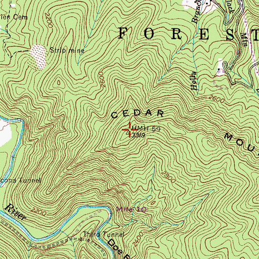 Topographic Map of Cedar Mountain, TN