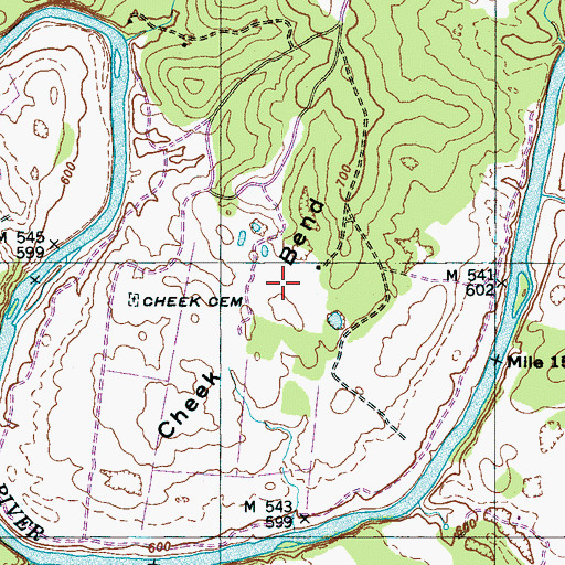 Topographic Map of Cheek Bend, TN
