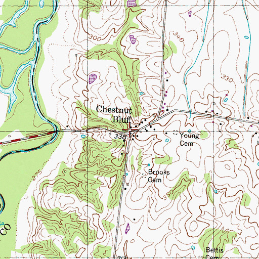 Topographic Map of Chestnut Bluff, TN