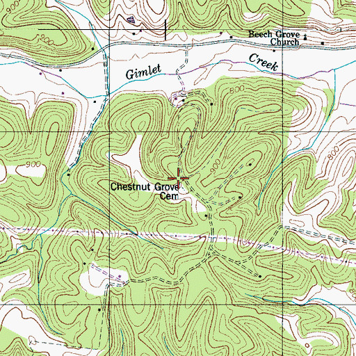 Topographic Map of Chestnut Grove Cemetery, TN
