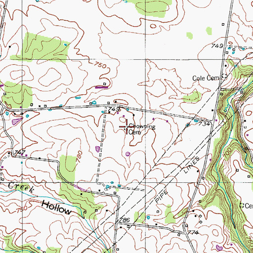 Topographic Map of Chowning Cemetery, TN