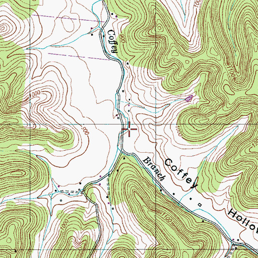 Topographic Map of Coffey Hollow, TN