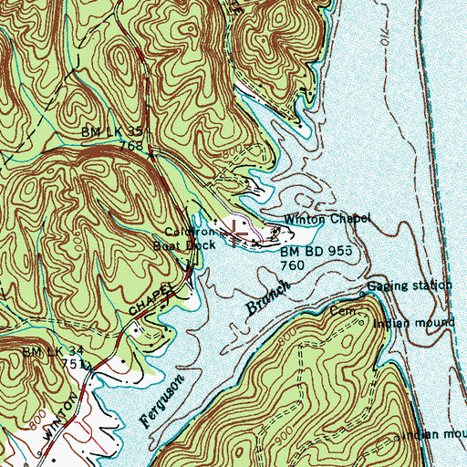 Topographic Map of Coldiron Boat Dock, TN