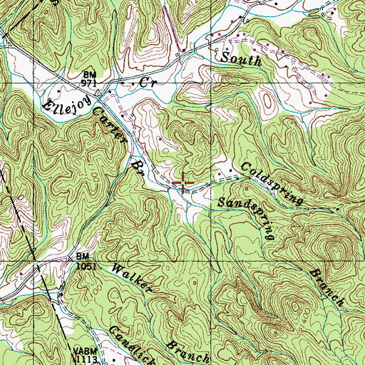 Topographic Map of Coldspring Branch, TN