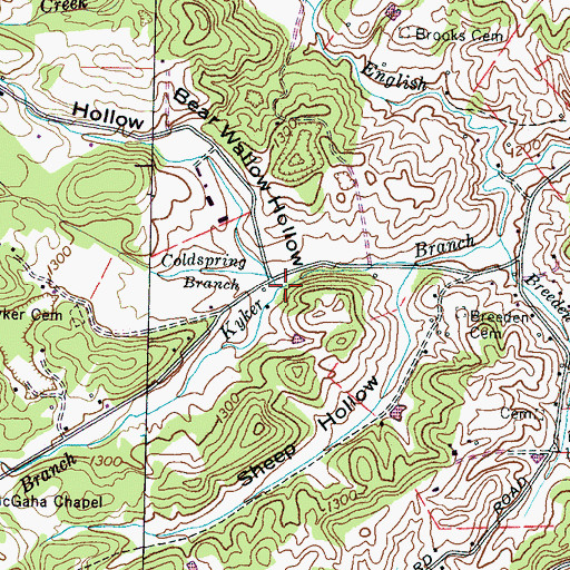 Topographic Map of Coldspring Branch, TN