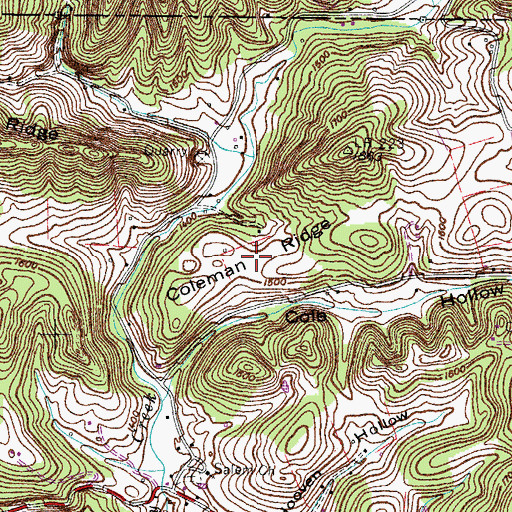 Topographic Map of Coleman Ridge, TN
