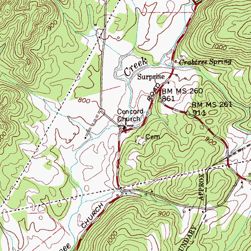 Topographic Map of Concord Church, TN