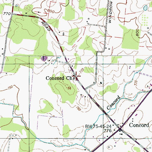 Topographic Map of Concord Church, TN
