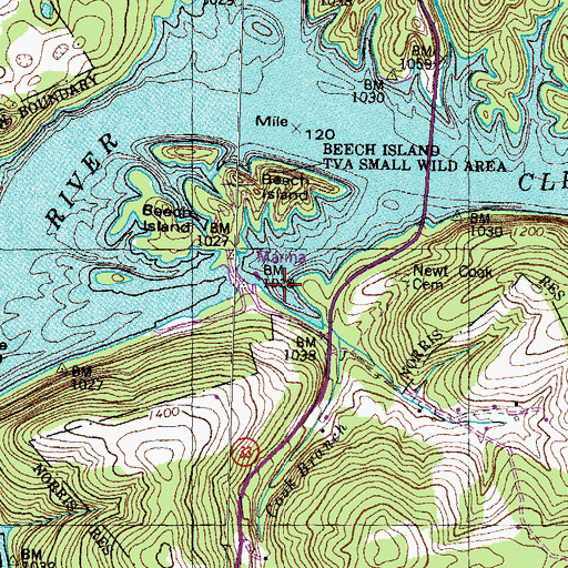 Topographic Map of Cook Branch, TN