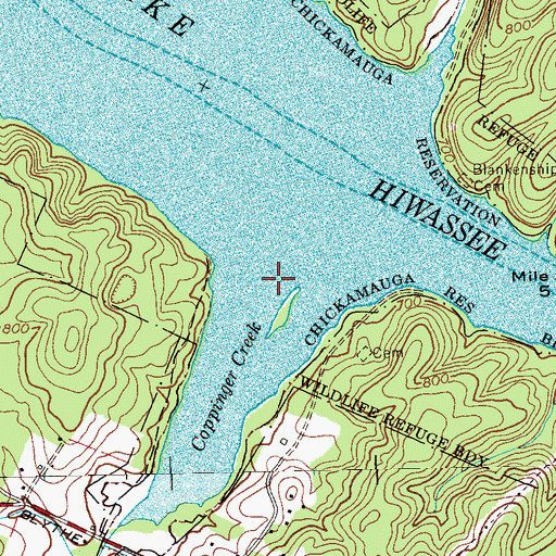 Topographic Map of Coppinger Creek, TN
