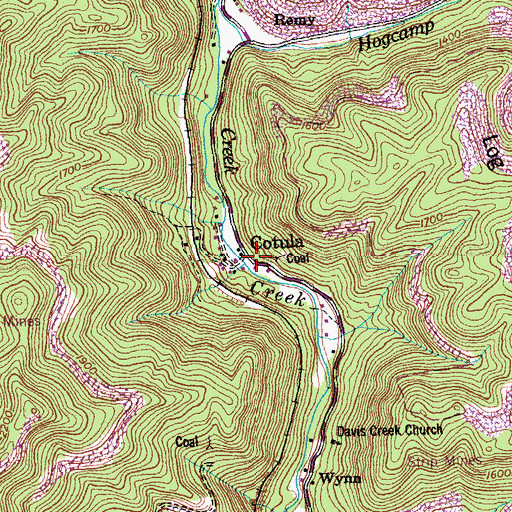 Topographic Map of Cotula, TN