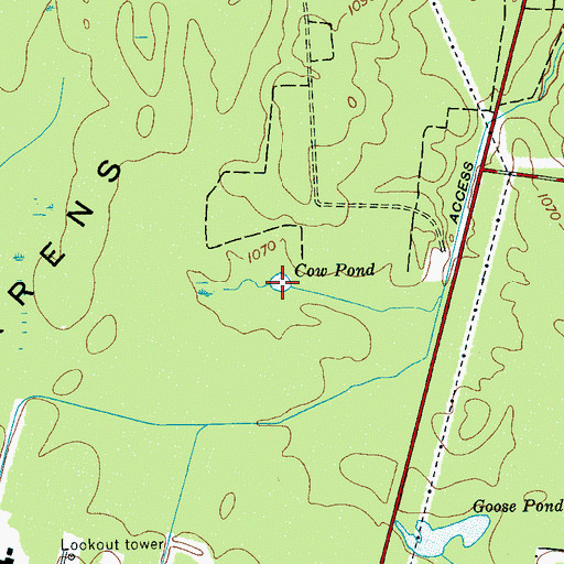 Topographic Map of Cow Pond, TN