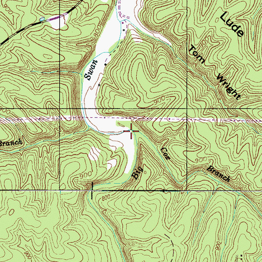 Topographic Map of Cox Branch, TN