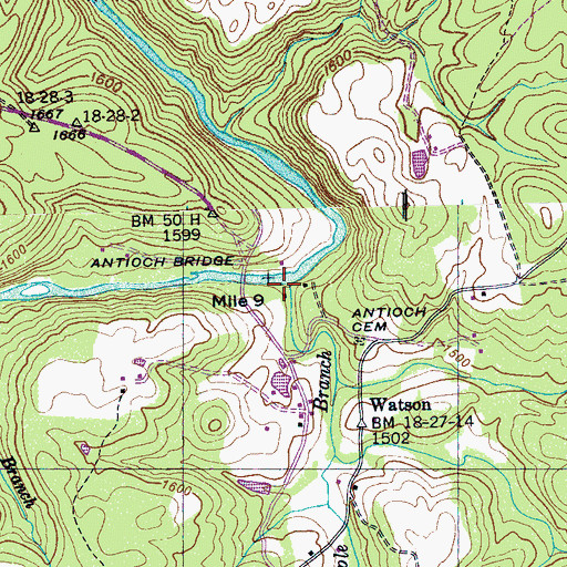 Topographic Map of Crabapple Branch, TN
