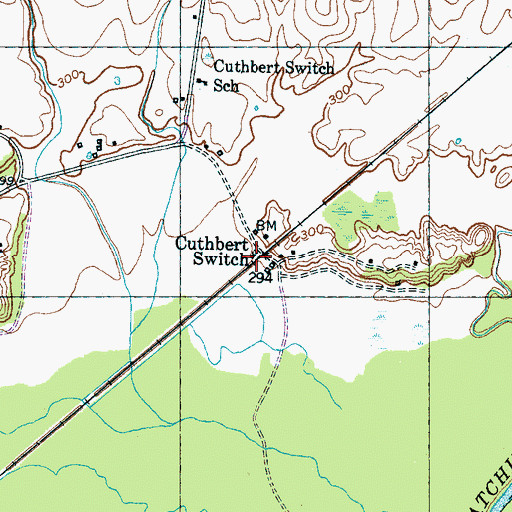 Topographic Map of Cuthbert Switch, TN