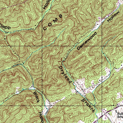 Topographic Map of Damewood Hollow, TN