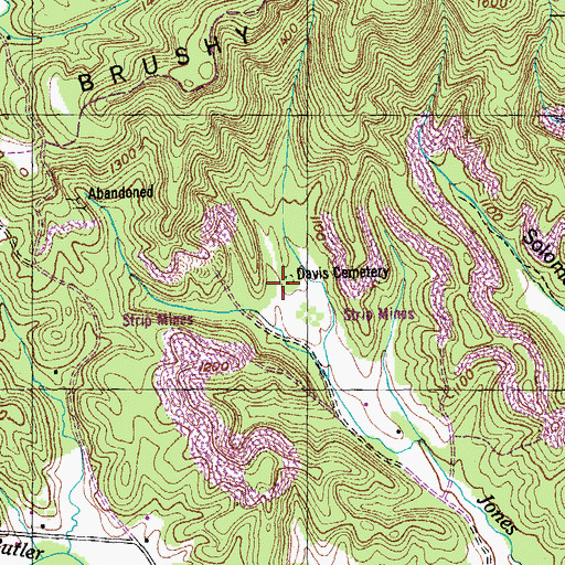 Topographic Map of Davis Cemetery, TN