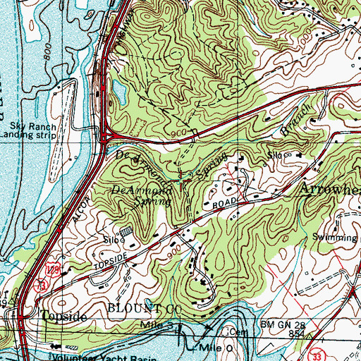 Topographic Map of DeArmond Spring, TN