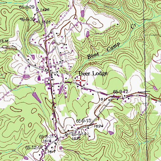 Topographic Map of Deer Lodge, TN