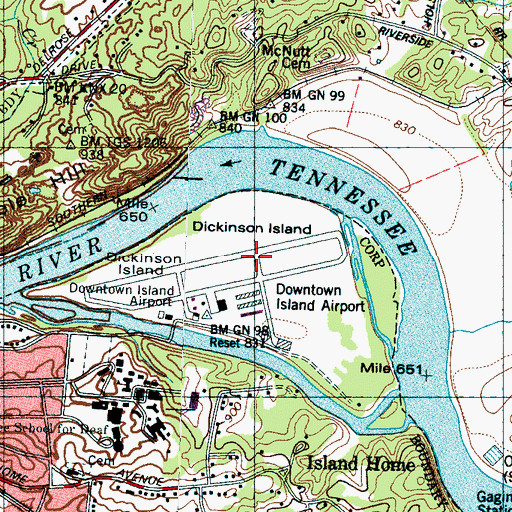 Topographic Map of Dickinson Island, TN