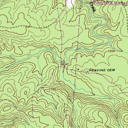 Topographic Map of Dogleg Branch, TN