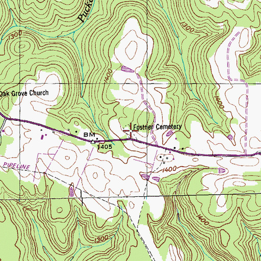 Topographic Map of Davidson / Forstner Cemetery, TN