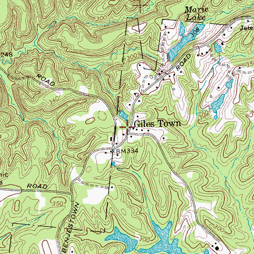 Topographic Map of Giles Town, TN