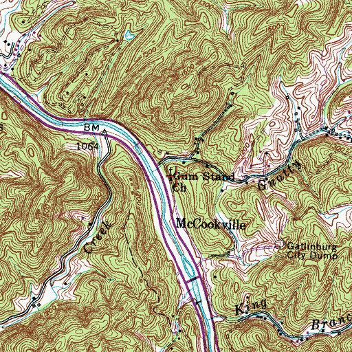 Topographic Map of Gum Stand Church, TN