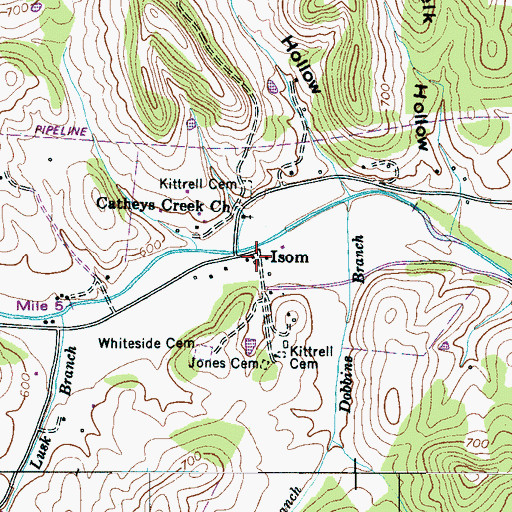 Topographic Map of Isom, TN