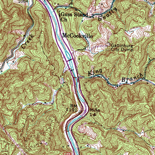 Topographic Map of King Branch, TN