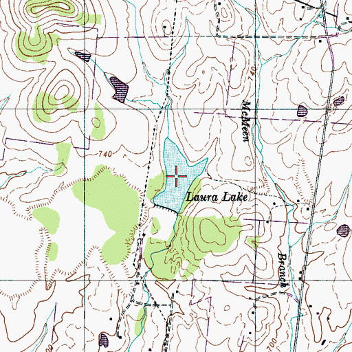 Topographic Map of Laura Lake, TN