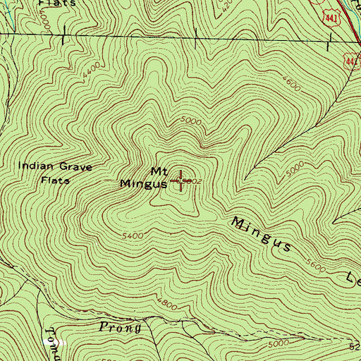 Topographic Map of Mount Mingus, TN