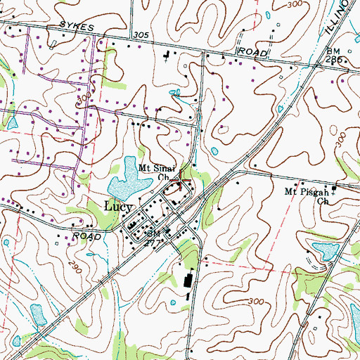 Topographic Map of Mount Sinai Church, TN