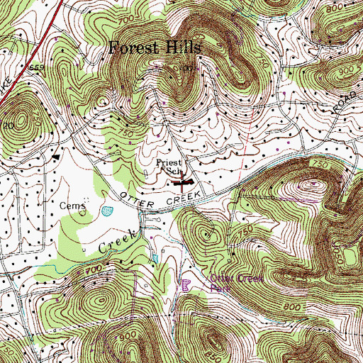 Topographic Map of Priest School, TN