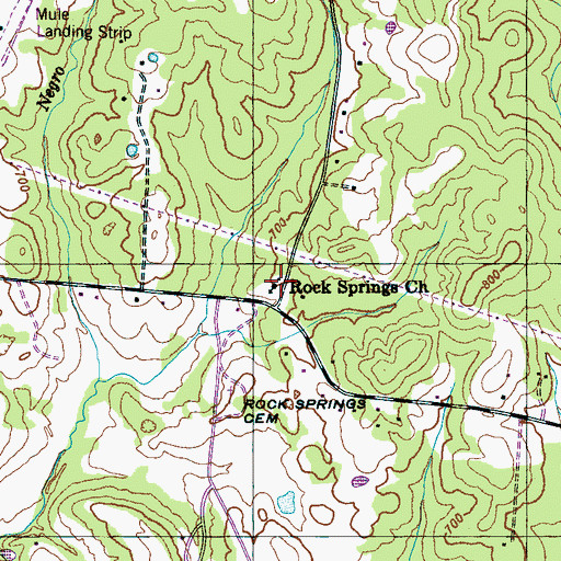 Topographic Map of Rock Springs Church, TN