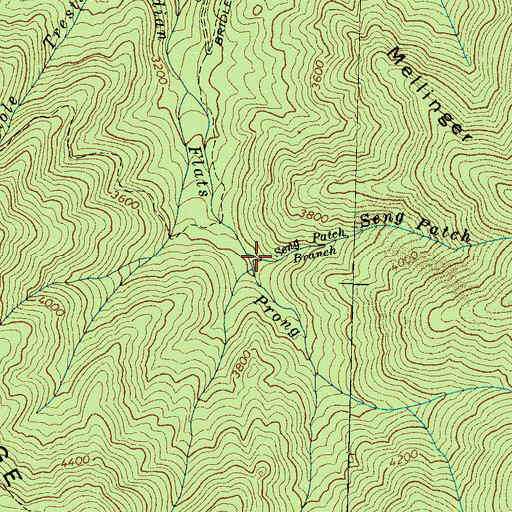 Topographic Map of Seng Patch Branch, TN