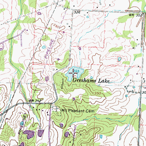 Topographic Map of Greshams Dam, TN