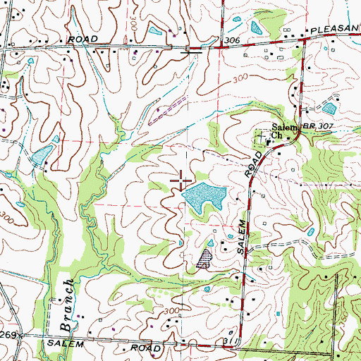 Topographic Map of J D Williams Lake Dam, TN