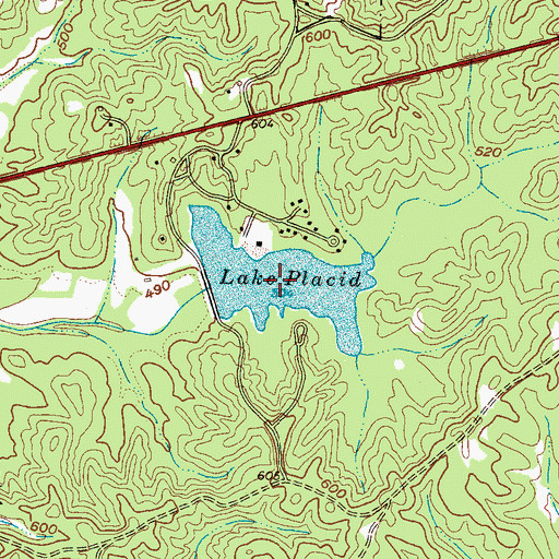 Topographic Map of Lake Placid, TN