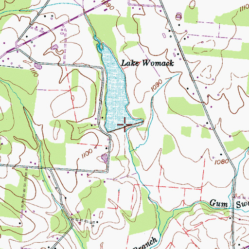 Topographic Map of Lake Womac Dam, TN