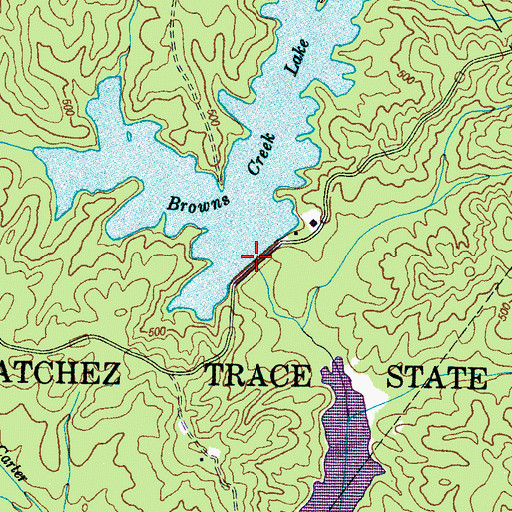Topographic Map of Brown Creek Dam, TN