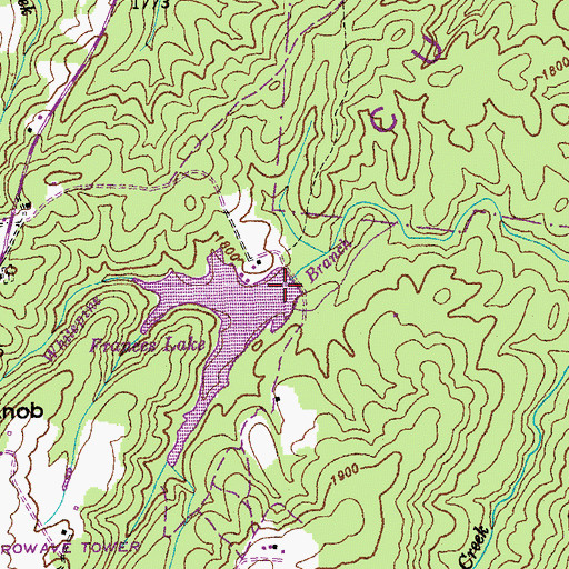 Topographic Map of Frances Lake Dam, TN