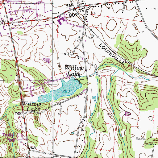 Topographic Map of Willow Lake Dam, TN