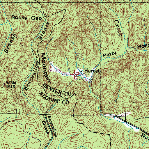 Topographic Map of Hornet, TN
