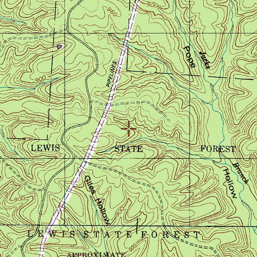 Topographic Map of Lewis State Forest, TN