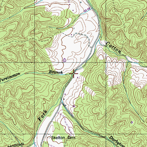 Topographic Map of Persimmon Branch, TN