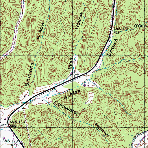 Topographic Map of Well Hollow, TN